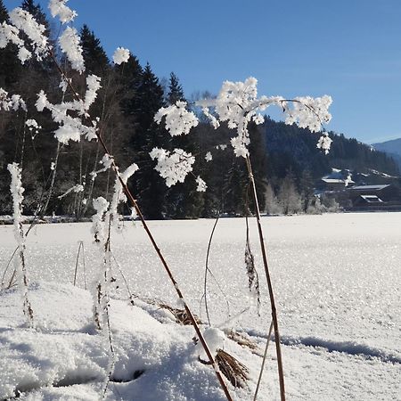 Ferienwohnung Griesbachhof Oberndorf in Tirol Exterior foto
