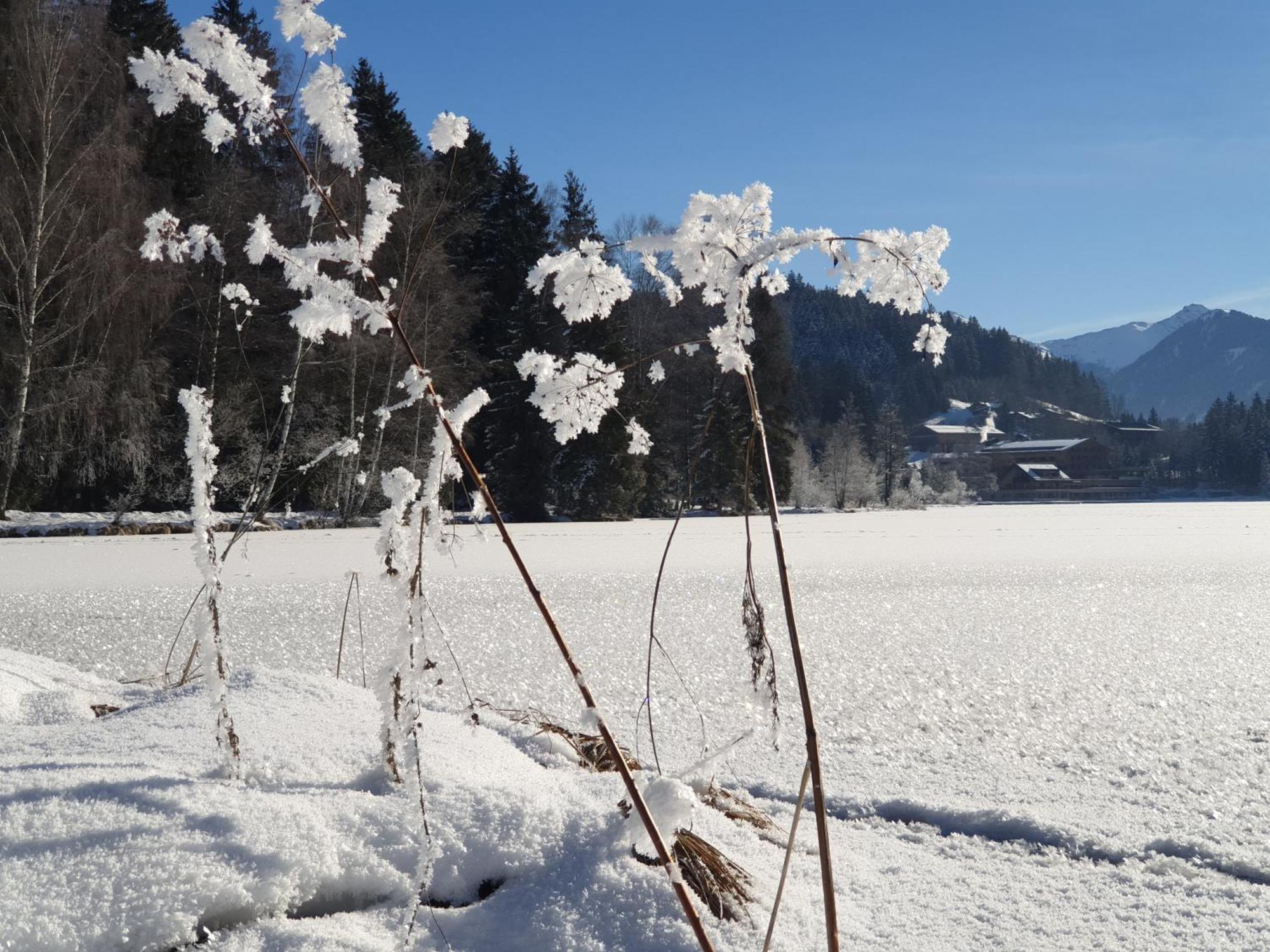 Ferienwohnung Griesbachhof Oberndorf in Tirol Exterior foto
