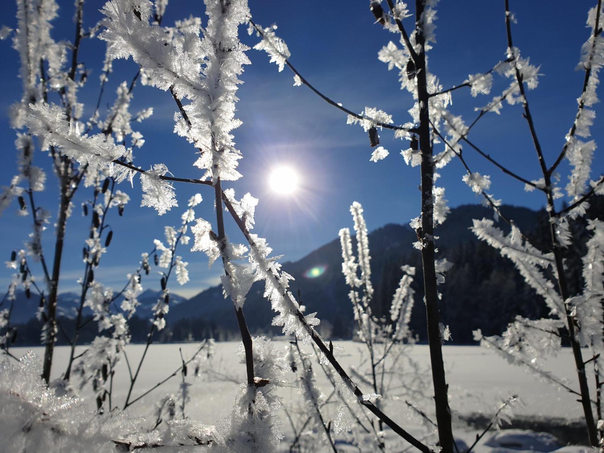 Ferienwohnung Griesbachhof Oberndorf in Tirol Exterior foto
